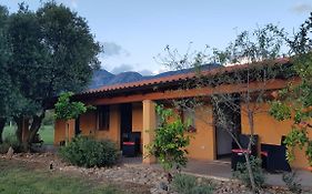 Oasi Verde